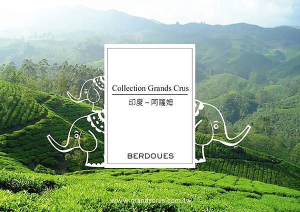 【BERDOUES】Assam of India (印度-阿薩姆)3.jpg 【BERDOUES】Assam of India (印度-阿薩姆)3.jpg