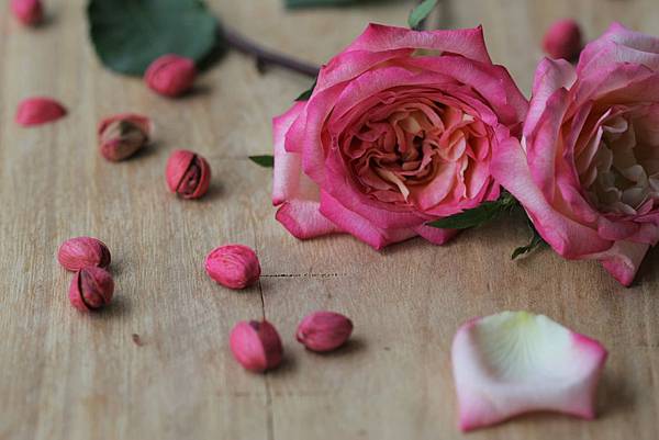 【Lancôme】Roses Berberanza (開心果玫瑰)7.jpg