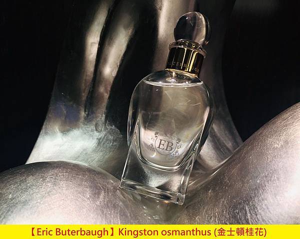 【Eric Buterbaugh】Kingston osmanthus (金士頓桂花)1.jpg 【Eric Buterbaugh】Kingston osmanthus (金士頓桂花)1.jpg