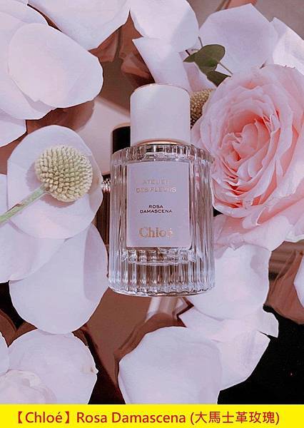 【Chloé】Rosa Damascena (大馬士革玫瑰)1.jpg