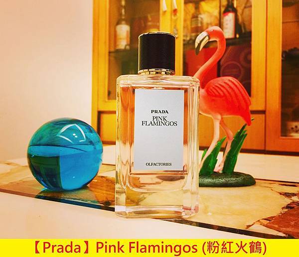 【Prada】Pink Flamingos (粉紅火鶴)1.jpg