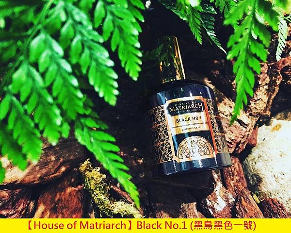 【House of Matriarch】Black No.1 (黑鳥黑色一號)1.jpg 【House of Matriarch】Black No.1 (黑鳥黑色一號)1.jpg