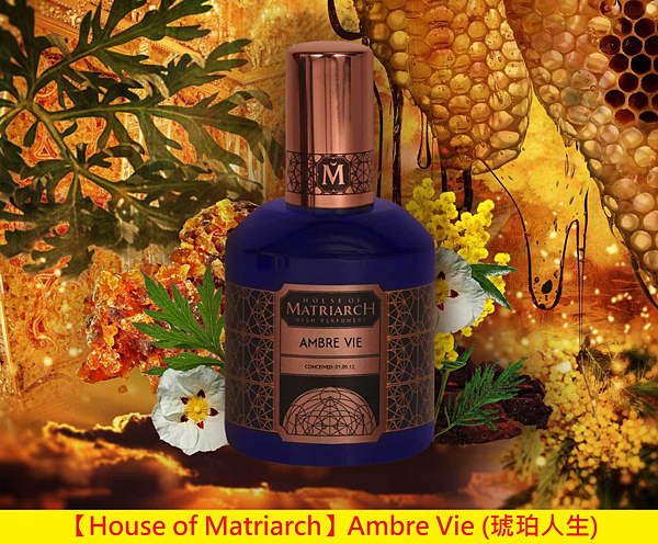 【House of Matriarch】Ambre Vie (琥珀人生)1.png 【House of Matriarch】Ambre Vie (琥珀人生)1.png