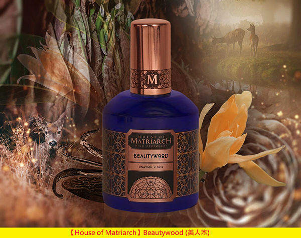 【House of Matriarch】Beautywood (美人木)1.png 【House of Matriarch】Beautywood (美人木)1.png