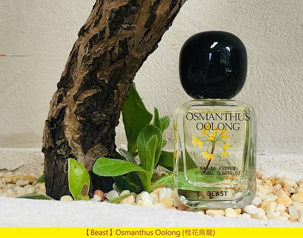 【Beast】Osmanthus Oolong (桂花烏龍)1.jpg