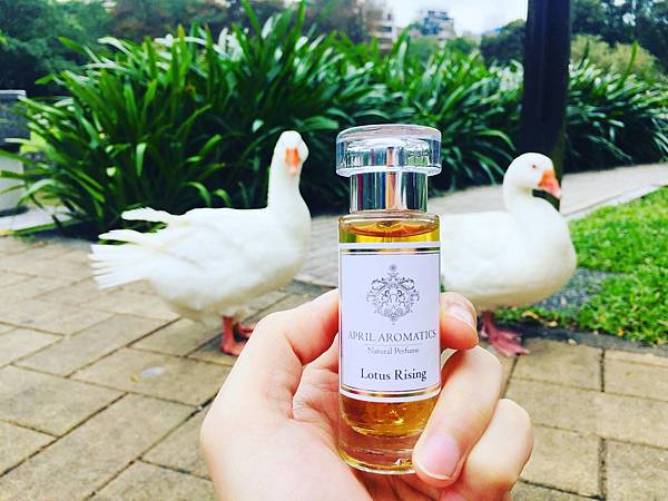 【April Aromatics】Lotus Rising (蓮之韻)1.jpg 【April Aromatics】Lotus Rising (蓮之韻)1.jpg