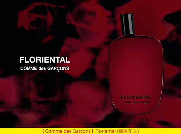 【Comme des Garcons】Floriental (抽象花香)1.png