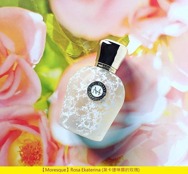 【Moresque】Rosa Ekaterina (葉卡捷琳娜的玫瑰)1.jpg 【Moresque】Rosa Ekaterina (葉卡捷琳娜的玫瑰)1.jpg