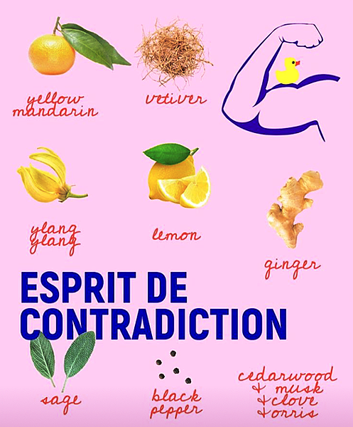 【Maison Matine】Esprit de Contradiction (捍衛)3.png