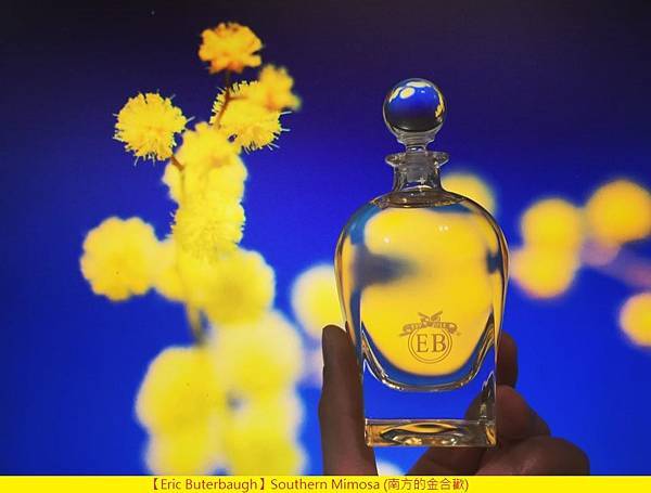 【Eric Buterbaugh】Southern Mimosa (南方的金合歡)1.jpg 【Eric Buterbaugh】Southern Mimosa (南方的金合歡)1.jpg