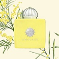 【Amouage】Love Mimosa (黃金羽)2.jpg