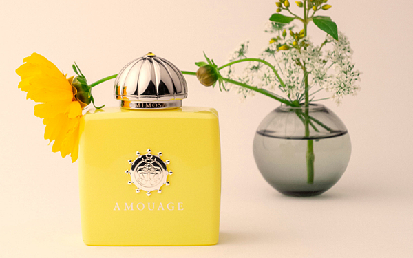 【Amouage】Love Mimosa (黃金羽)1.png 【Amouage】Love Mimosa (黃金羽)1.png