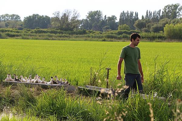 【L’Artisan Parfumeur】Le Chant de Camargue (卡馬格頌歌)7.jpeg