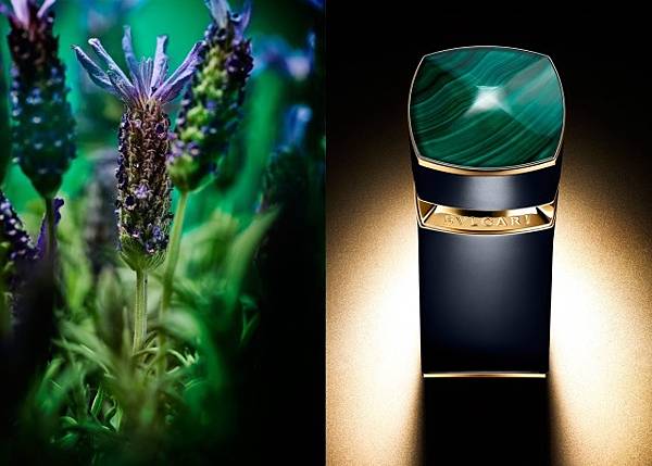 【Bvlgari】Malakeos (孔雀石尊雀寶石)1.jpg 【Bvlgari】Malakeos (孔雀石尊雀寶石)1.jpg