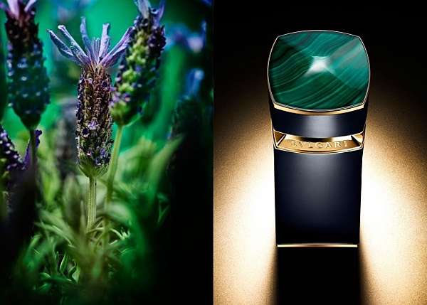 Bvlgari Malakeos Chris Perfume Reviews