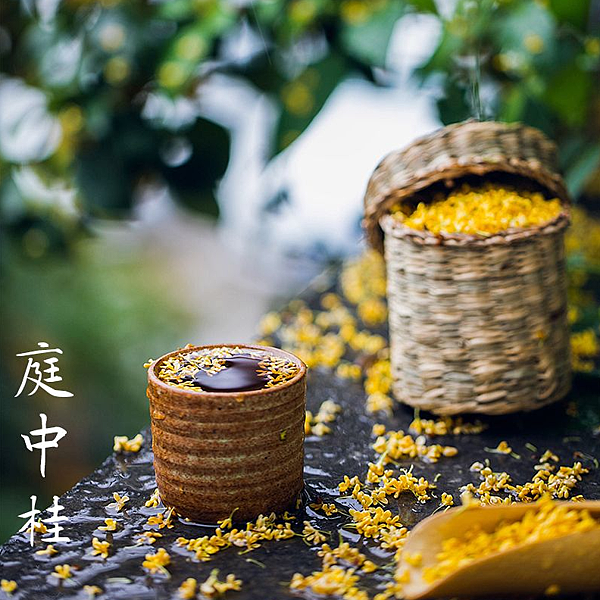 【南柯記】庭中桂 (Courtyard Osmanthus)2.png