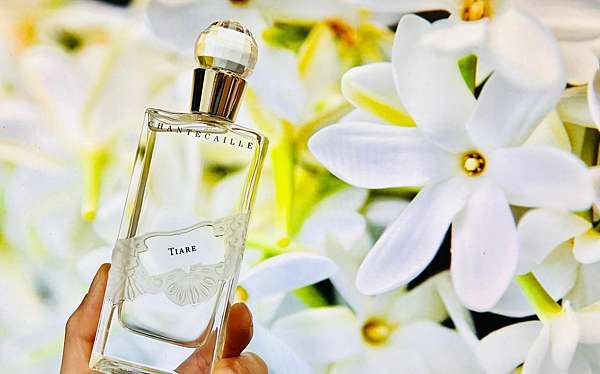 Chantecaille Tiare 海洋之心 1270 香水評論報台chris Perfume Reviews 痞客邦