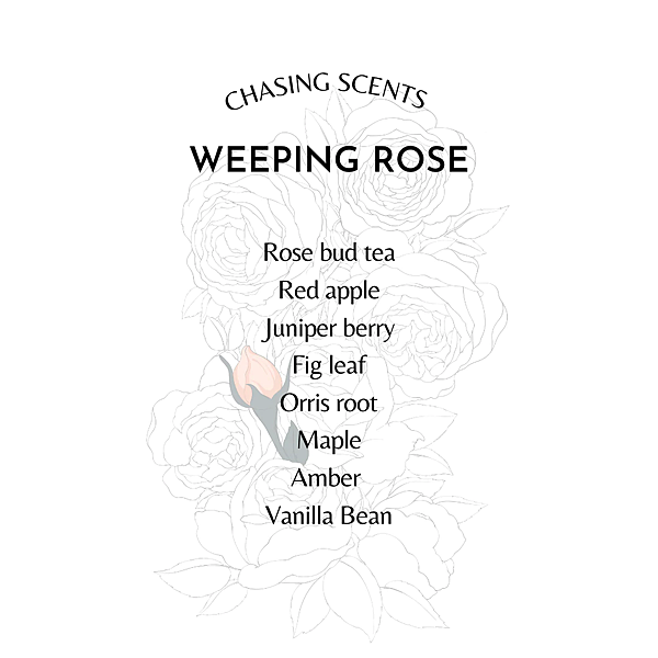 【Chasing Scents】Weeping Rose (垂枝玫瑰)4.png