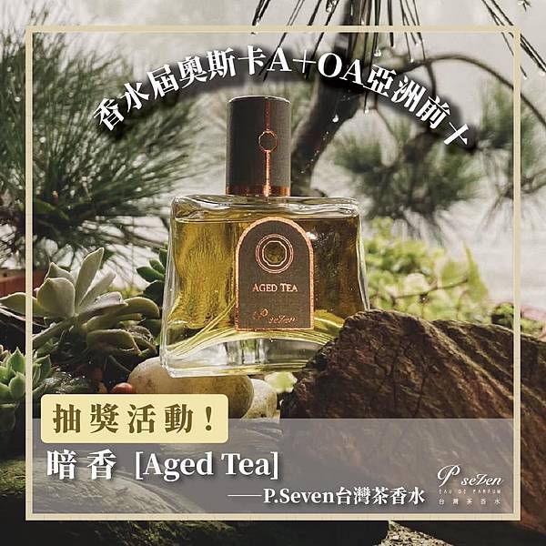 【P. Seven】Aged Tea (暗香｜老茶)1.jpg