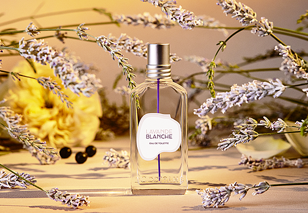 【L’Occitane】Lavande Blanche (白薰衣草)2.png