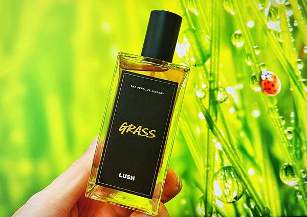 【LUSH】Grass (綠野仙蹤)1.jpg 【LUSH】Grass (綠野仙蹤)1.jpg