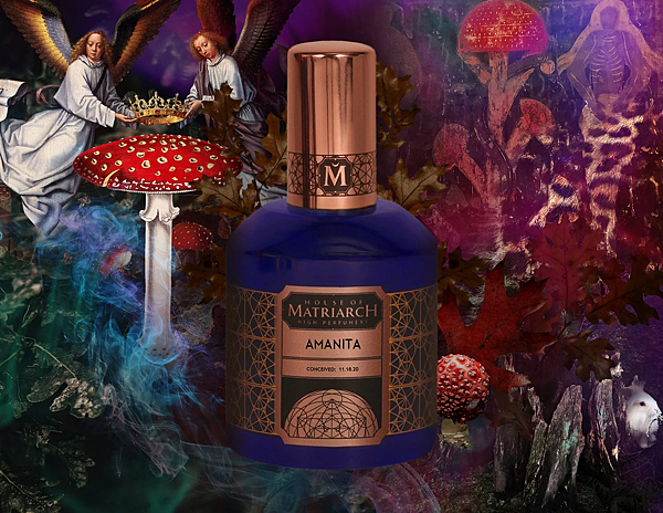 【House of Matriarch】Amanita (毒蘑菇鍊金術)1.png 【House of Matriarch】Amanita (毒蘑菇鍊金術)1.png