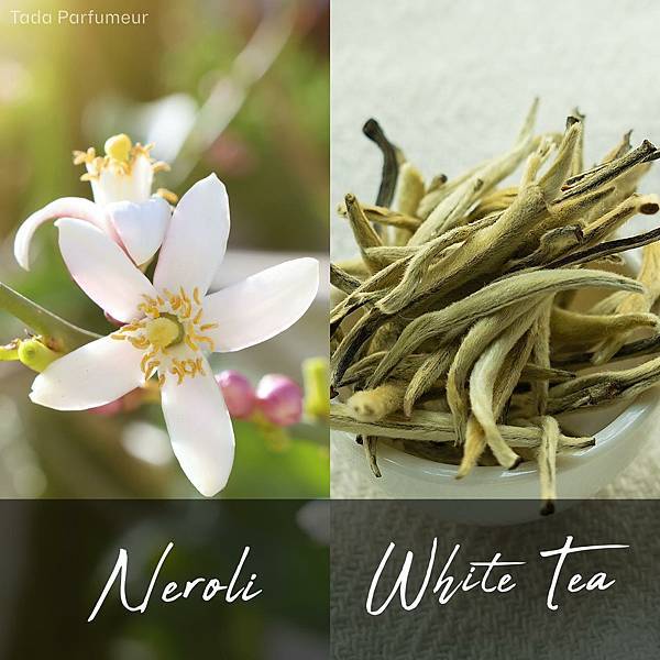 【Tada Parfumeur】Eclat de Neroli (橙花白茶)2.jpg