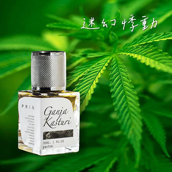 【Prin】Ganja Kasturi (嬉皮之路)1.jpg 【Prin】Ganja Kasturi (嬉皮之路)1.jpg