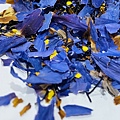 【TRNP】Blue Lotus Darjeeling (藍蓮大吉嶺) 4.jpg