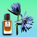 【TRNP】Blue Lotus Darjeeling (藍蓮大吉嶺) 1.jpg