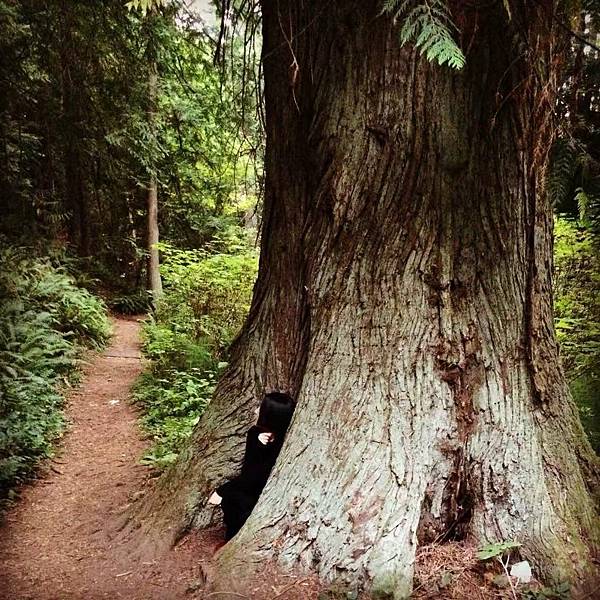 【YILI Olfactory Art】妇 (Fougère Mama) 2.jpg 【YILI Olfactory Art】妇 (Fougère Mama) 2.jpg