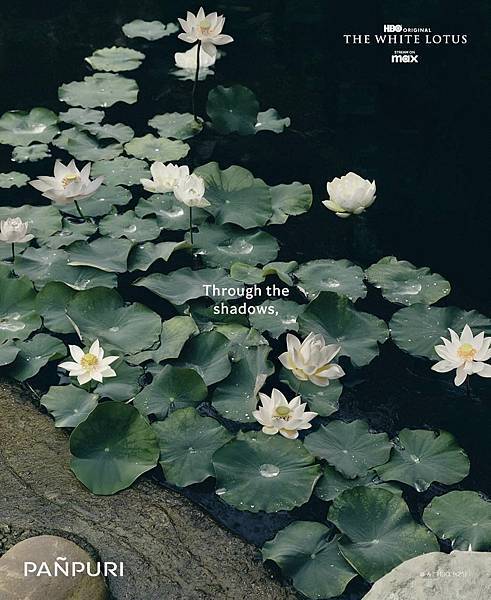 【Panpuri】Lotus Eclipse (白蓮海韻)2.jpg