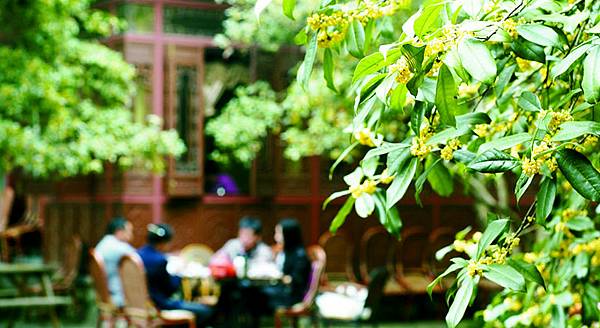 【Ibrahim Fuhaid】Osmanthud (桂花烏木)4.jpg 【Ibrahim Fuhaid】Osmanthud (桂花烏木)4.jpg