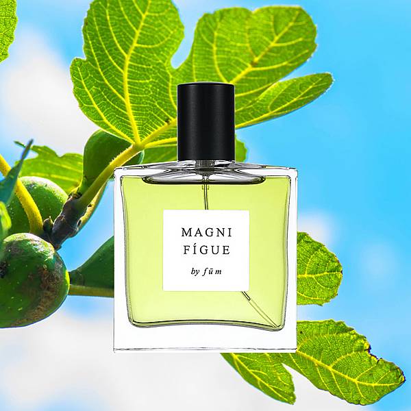 【fūm】Magnifigue (綠意無花果)1.jpg 【fūm】Magnifigue (綠意無花果)1.jpg