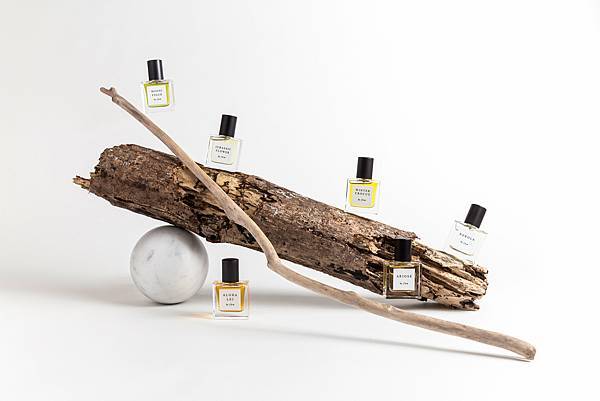 【fūm】Magnifigue (綠意無花果)4.jpg 【fūm】Magnifigue (綠意無花果)4.jpg