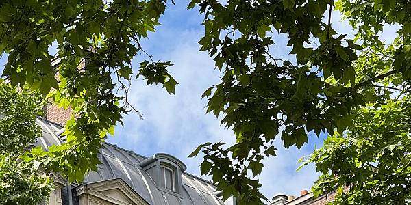 【d%5CAnnam】 Arashiyama (嵐山)3.jpg