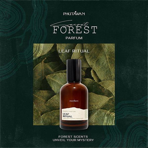 【Phutawan】Leaf Ritual (儀葉森林)1.jpg 【Phutawan】Leaf Ritual (儀葉森林)1.jpg