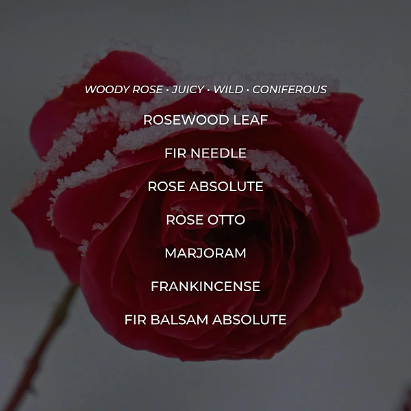 【WIT %26; WEST】Summit Rose (洛磯山脈玫瑰)2.png 【WIT %26; WEST】Summit Rose (洛磯山脈玫瑰)2.png