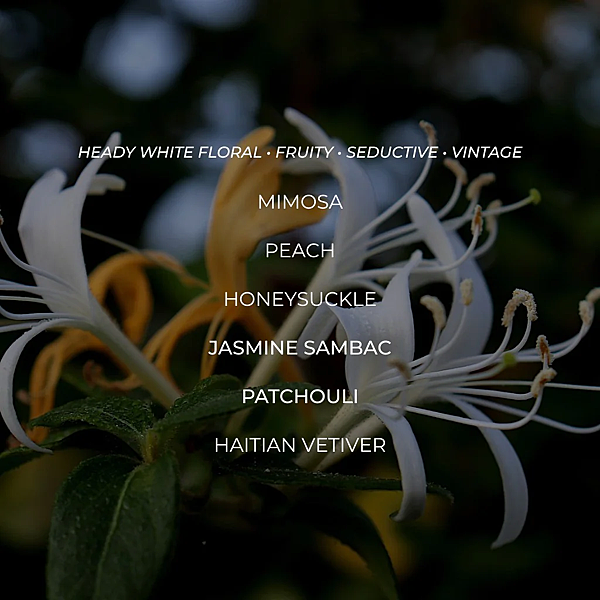 【WIT %26; WEST】Honeysuckle Halcyon (芝加哥的美好金銀)2.png 【WIT %26; WEST】Honeysuckle Halcyon (芝加哥的美好金銀)2.png