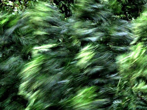 1040807 015 1040807 015