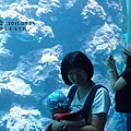 20110714@海生館.JPG