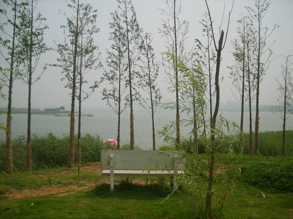 湖边的长凳