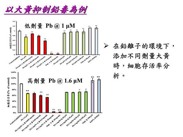 投影片28.JPG