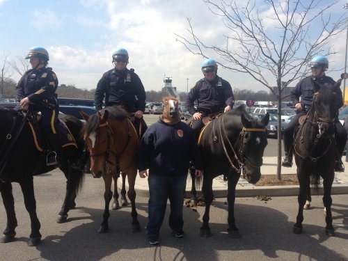 horse masks