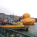 黃色小鴨基隆_Rubber Duck_基隆_Keelung_黃色小鴨火車