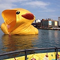 黃色小鴨基隆_Rubber Duck_基隆_Keelung_黃色小鴨火車