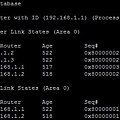 show ip ospf da.jpg