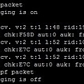 debug ip ospf packet.jpg