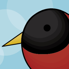 bird bird