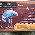 木柵Zoo008.jpg